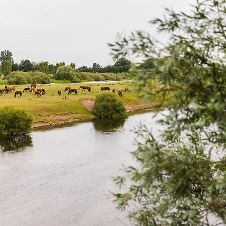 Thoeles*** Am Allerpark Verden Verden an der Aller Exteriör bild