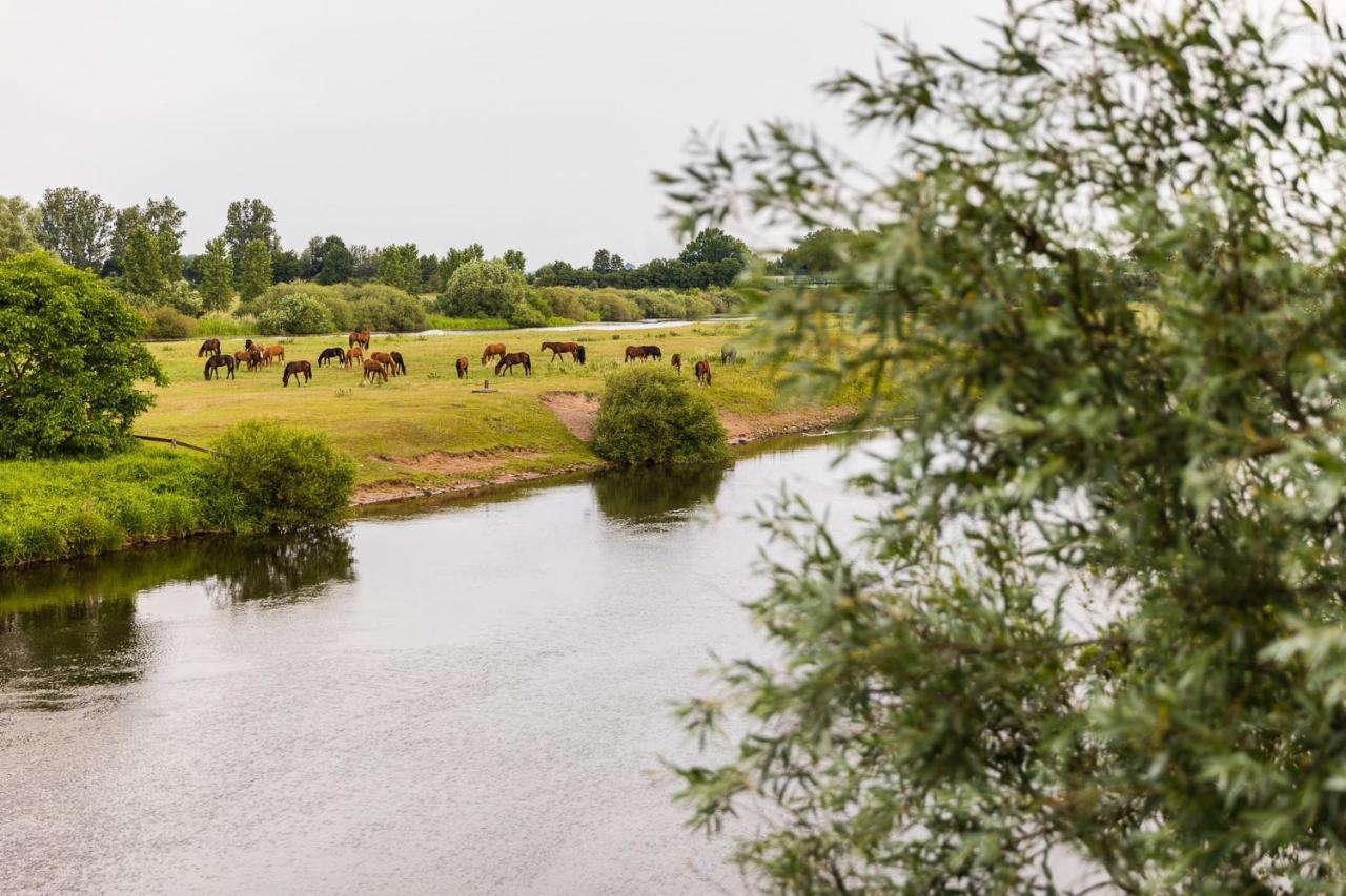Thoeles*** Am Allerpark Verden Verden an der Aller Exteriör bild
